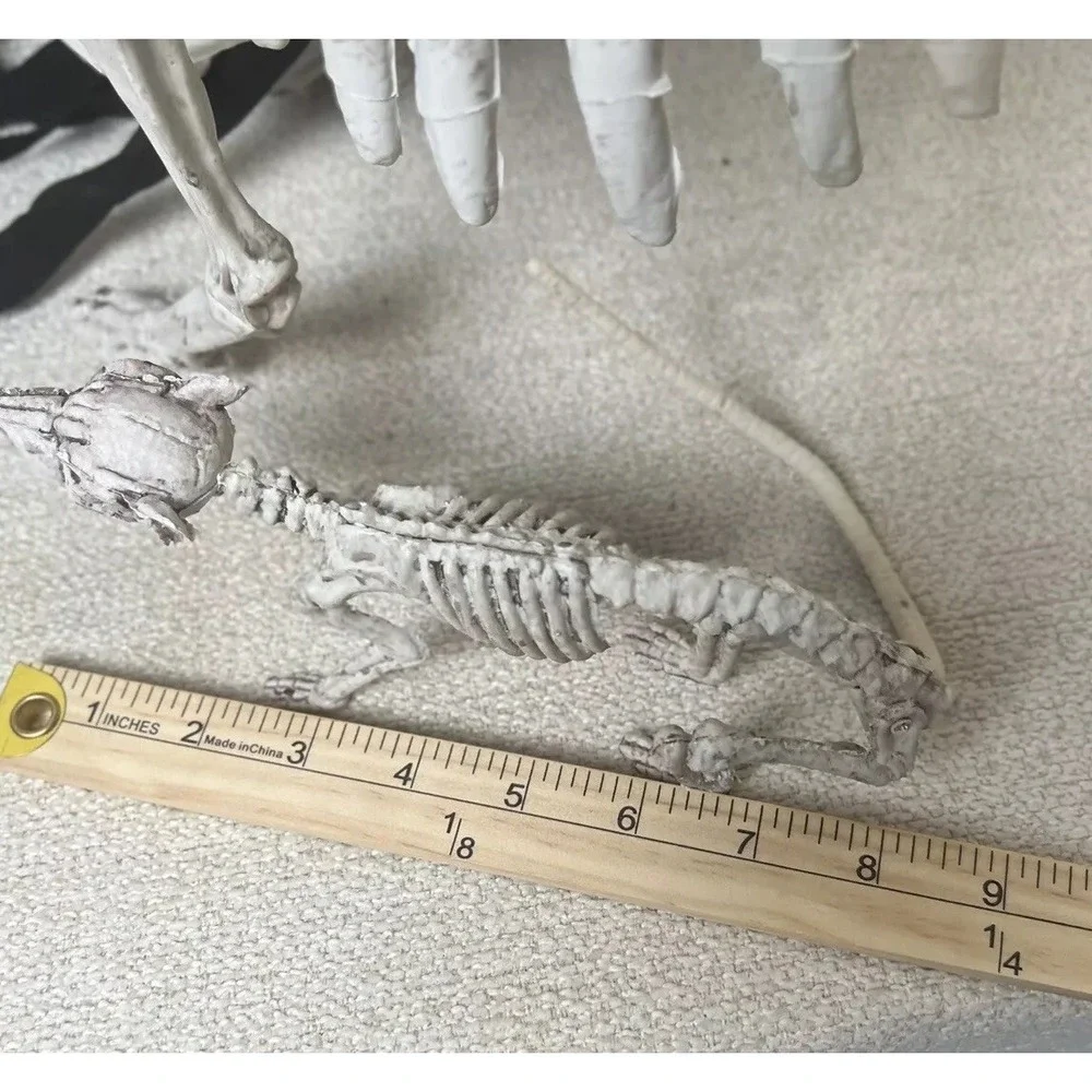 Skeleton Dogs Halloween Decorations Realistic Bones Scary Horror Lot 2